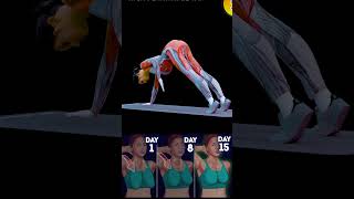 BEGINNER UPPER BODY WORKOUT FOR WOMEN  NO EQUIPMENT workout4d [upl. by Nylodam]