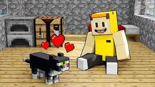 Pelihara Kucing  Minecraft Survival Episode 4 [upl. by Nraa]