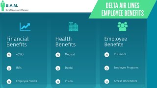 Delta Air Lines Employee Benefits  Benefit Overview Summary [upl. by Ramgad]