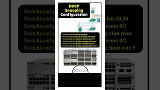 What Do You Know About DHCP SnOOPING🔥  Network Configs  IPCiscocom dhcp ccna [upl. by Ymmaj]