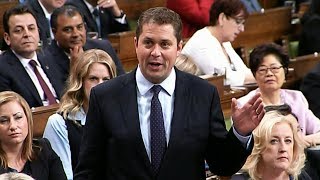 Scheer Morneau debate Kinder Morgan pipeline purchase during question period [upl. by Spiers]