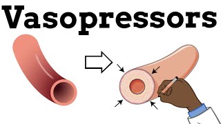 Vasopressors and Types of Shock [upl. by Atis]