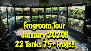 Frogroom Tour January 2020 6 New Bioactive Setups [upl. by Valencia]