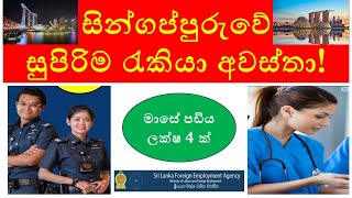 Top Singapore Job Vacancies for Sri Lankans  2024 Opportunities [upl. by Cram188]