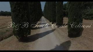 BampB Tivoli Casale Colleoni Bed and Breakfast Tivoli BB Tivoli Casale Colleoni a Villa Adriana [upl. by Akcirehs]