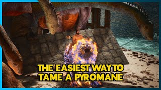 New most effective way to tame a Pyromane ARK SURVIVAL ASCENDED [upl. by Gnoy]