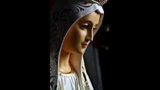 AVE MARIA SONG ON MOTHER MARY By our beolved REV FRDENIZ VAIZ [upl. by Aluin247]