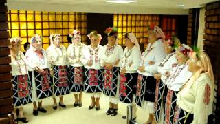 Bulgarian Folklore  Women from Gradishte 2 [upl. by Aehcim]