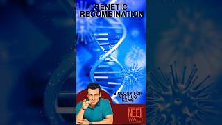 Process of Genetic Recombination  Genetic Engeneering  class 12th Biology neet biology [upl. by Suckow]