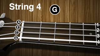 How to tune a Ukulele  Ukulele tuning video  gCEA [upl. by Fisoi]