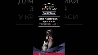 Pro Plan® FortiFlora®  для підтримки здоровя Вашого улюбленця у кризові часи [upl. by Kimber]