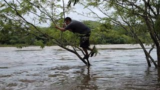 Alerta 🚨 roja el río torola se desborda  Y chungo queda atrapado en la creciente 😱😱😨😨😨 [upl. by Carolann463]