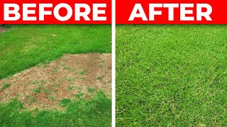 How to Fix a Bare Spot in the Lawn  3 Tips for Fast Repair [upl. by Dej228]