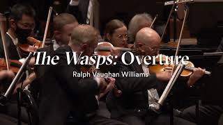 The Wasps by Ralph Vaughan Williams streaming now on MSOLIVE [upl. by Anna]