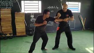 Wing Chun Kung Fu Pak sao Wu sao Lap sao seguido de mobilização contra ataques de socos [upl. by Keese]