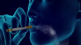 Doctor Explains How to PURIFY Smokers Lungs [upl. by Welker]