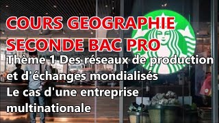 14 Cours Seconde Bac Pro GEOGRAPHIE Des réseaux de production et déchanges mondialisés les FTN [upl. by Nilo]