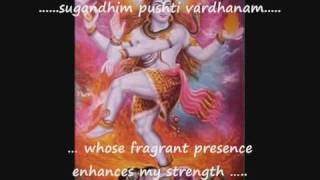 Mantra with English subtitles Sri Mrityunjaya Mantra  Rig Veda [upl. by Etteniuq]