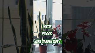 quotHow to Grow an Indoor Herb Garden in Winter quot [upl. by Llednil]