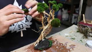 Jak zrobić drzewko Bonsai do akwarium [upl. by Ratep]