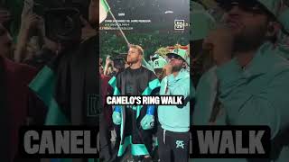 CANELOS RING WALK 🤩🔥 [upl. by Aceissej710]