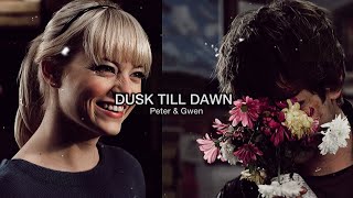 Peter amp Gwen  Dusk Till Dawn [upl. by Oigres]