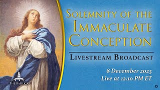 Solemnity of the Immaculate Conception – December 8 2023 [upl. by Asilahs439]