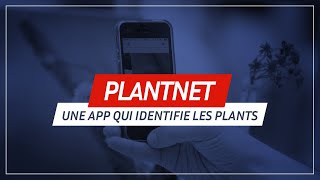 Plntnet une application qui identifie des plantes 🌱😲 [upl. by Bakeman]