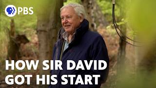 How Sir David Attenborough Got His Start [upl. by Ahtelrac]