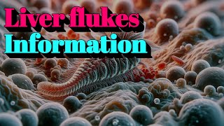 Liver flukes Information 🔬Tier4 Infectious Disease [upl. by Eyk8]