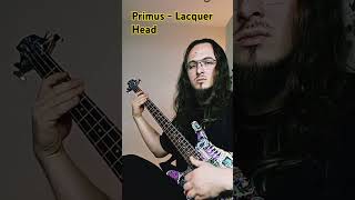 Primus  Lacquer Head bassplayer shortcover primus riff funk rock music [upl. by Chard49]