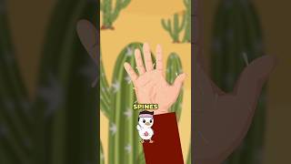 How to Remove Cactus Spines from Your Hand [upl. by Elbart565]