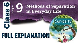 Method OF Separation In Everyday Life Chapter9 Science Curiosity Class6 NCERT [upl. by Johannes]