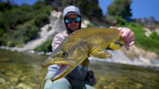 Exploring New Incredibly Beautiful River During Peak Cicada Season [upl. by Oppen488]