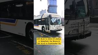 Bee line bus 435 BL42 amp 280 BL42  Huguenot St amp Shearwood Pl [upl. by Diaz]