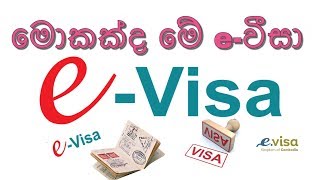 What Is eVisa in Sinhala  TRAVEL WITH ME [upl. by Yard]