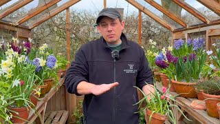 Astonishing Spring Plants For Pots With Head Gardener Dan Cartwright [upl. by Eikcim]