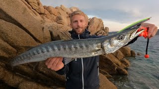 SPINNING INSHORE  Caccia ai grossi barracuda autunnali  Hunting for big autumn barracudas [upl. by Mitzie84]