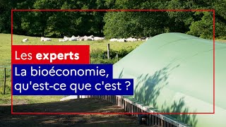 La bioéconomie questce que cest [upl. by Nosaes958]