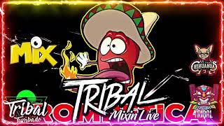 Tribal Mega Mix Febrero 2022 🔥 Lo Mas Chingon Del Tribal Mix 🔥 Tribal Tumbado Mix HD Sound [upl. by Ullyot]