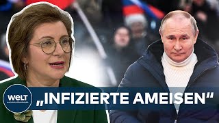 PUTINS KRIEG Russische Propaganda immer absurder – quotInfizierte Ameisen kriechen über die Grenzequot [upl. by Ahsyek]