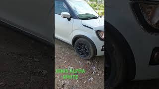 2024 Maruti Suzuki IGNIS ALPHAZETA ZXI Nexa White Queenviralvideo shorts [upl. by Cullin428]