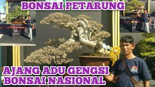 THE WINNER PIALA PRESIDEN  INDONESIA BONSAI AND SUISEKI CONVENTION 2024 [upl. by Joanie796]