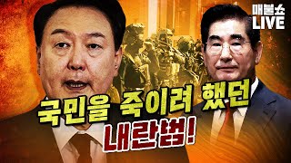 내란범의 증거를 구체적으로 보여드립니다 사형 또는 무기징역 [upl. by Zampino460]