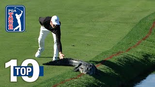 Top 10 Animal Encounters on the PGA TOUR [upl. by Eleaffar]