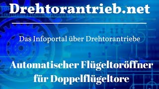 Automatischer Flügeltoröffner für Doppelflügeltore  Tipps und Preisvergleich [upl. by Jerrylee844]