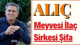 ALIÇIN FAYDALARI ALIÇ SİRKESİ TARİFİ ALIÇ SİRKESİ NE İŞE YARAR [upl. by Akeryt]