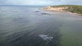 Barwon Heads 4k and 4k drone [upl. by Hsuk]