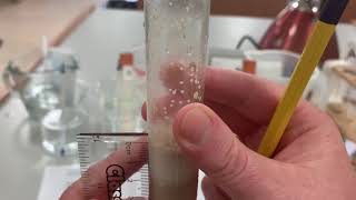 Yeast fermentation Experiment 1 Temperature [upl. by Lyrahc]