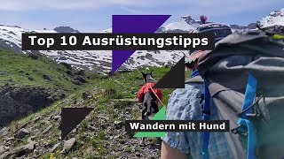 Wandern mit Hund Top 10 Ausrüstungstipps [upl. by Haroppiz]